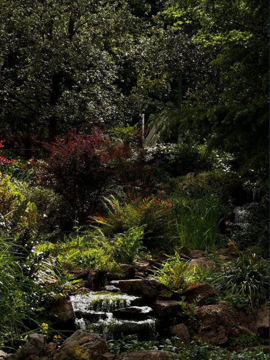 A hidden stream in a green garden