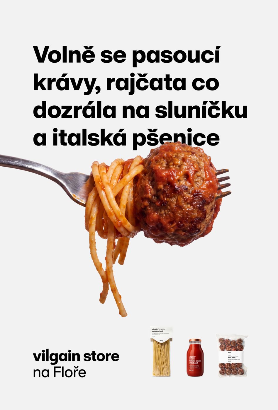 Meatball spaghetti poster