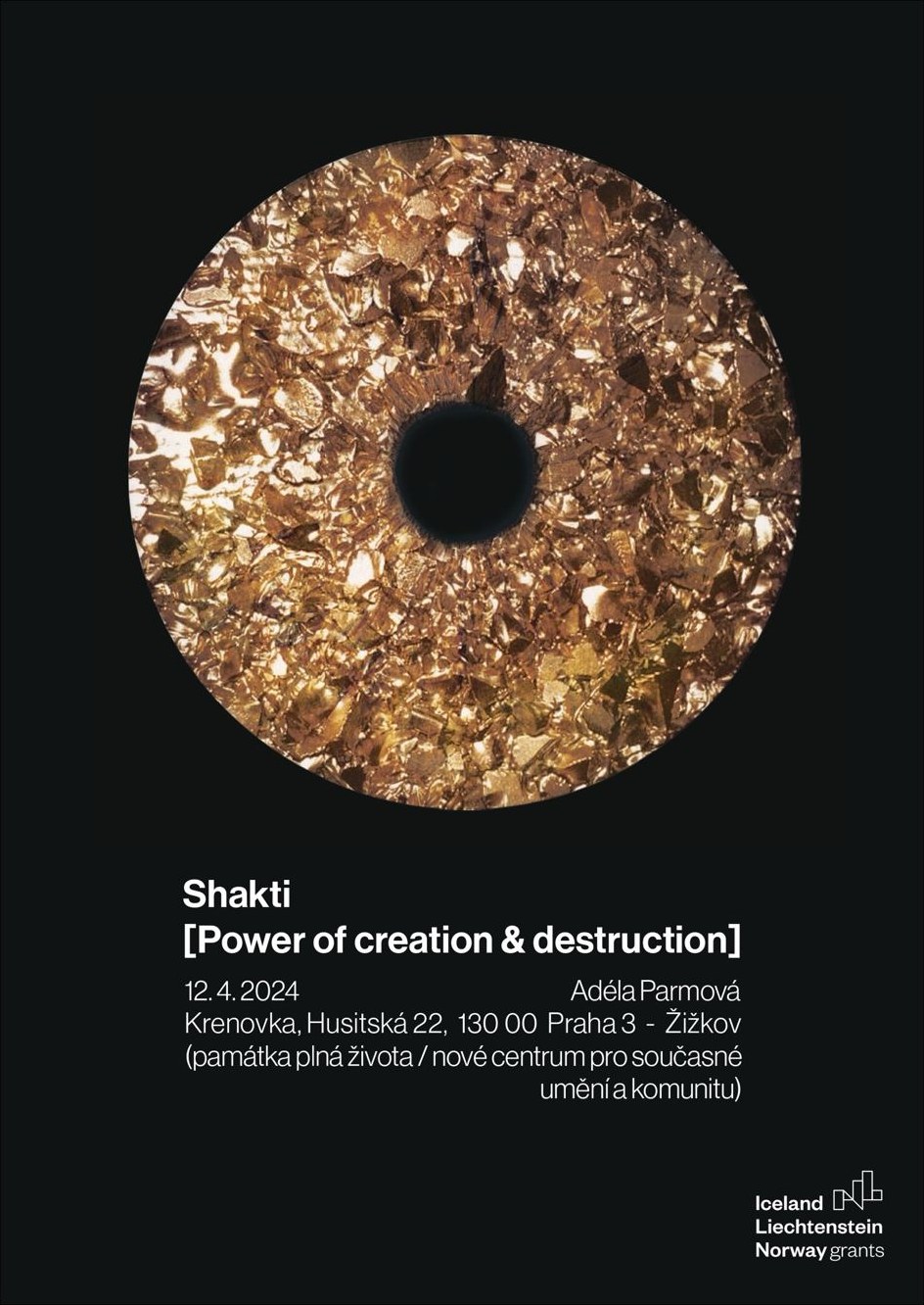 Shakti exhibition poster